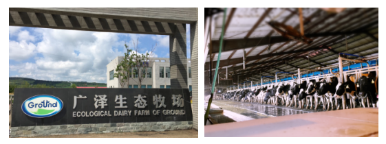 &#20113;&#39030;&#38598;&#22242;&#51;&#49;&#49;&#56;